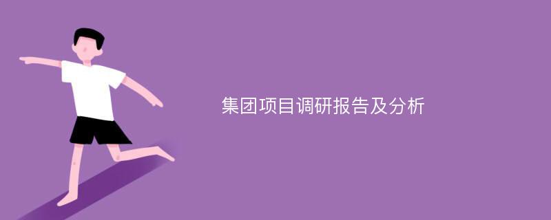 集团项目调研报告及分析