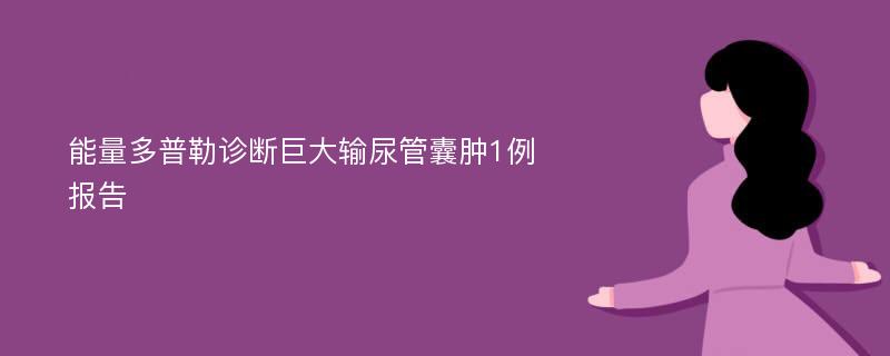 能量多普勒诊断巨大输尿管囊肿1例报告