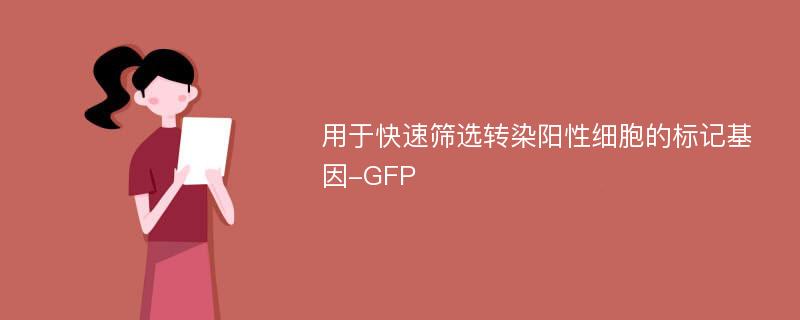 用于快速筛选转染阳性细胞的标记基因-GFP