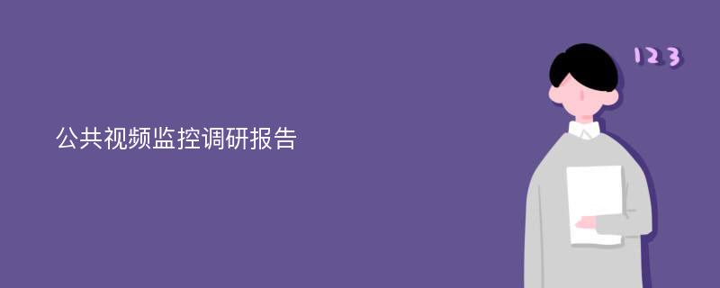 公共视频监控调研报告