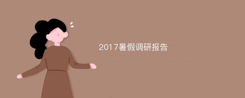 2017暑假调研报告