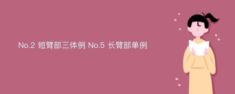 No.2 短臂部三体例 No.5 长臂部单例