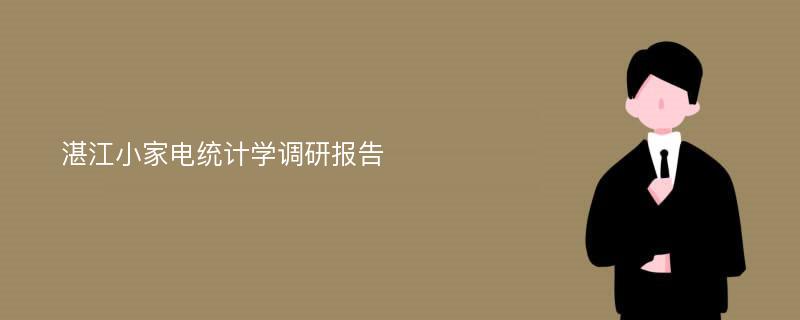 湛江小家电统计学调研报告