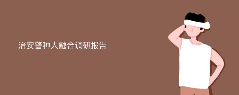 治安警种大融合调研报告