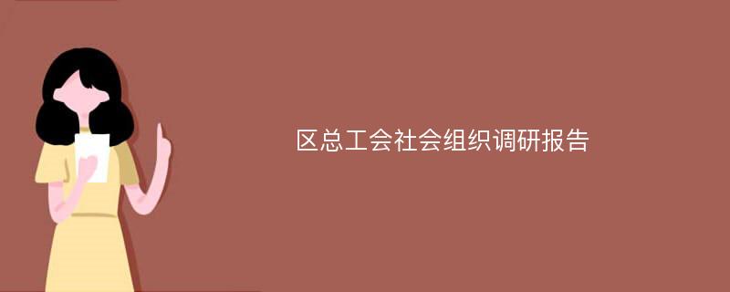 区总工会社会组织调研报告