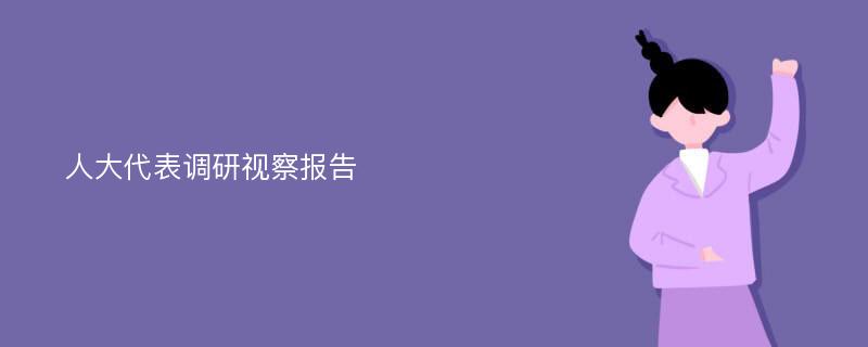 人大代表调研视察报告