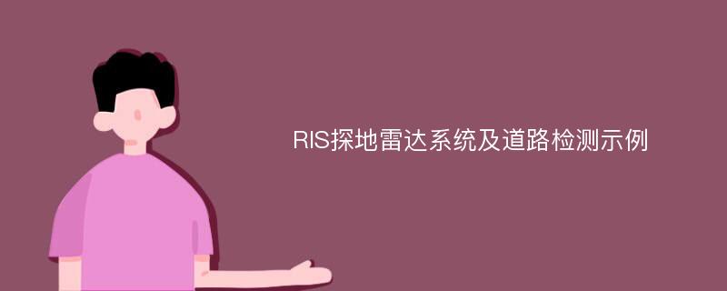 RIS探地雷达系统及道路检测示例