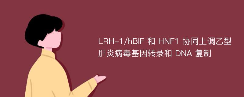 LRH-1/hBlF 和 HNF1 协同上调乙型肝炎病毒基因转录和 DNA 复制