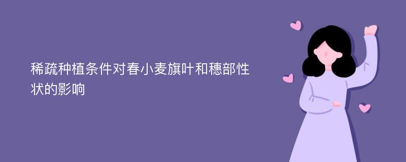 稀疏种植条件对春小麦旗叶和穗部性状的影响