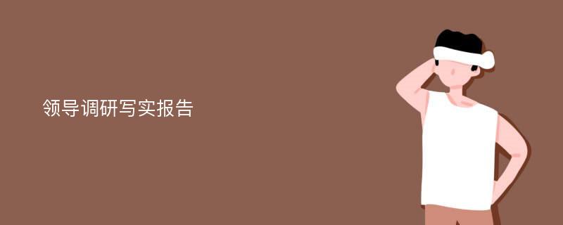 领导调研写实报告