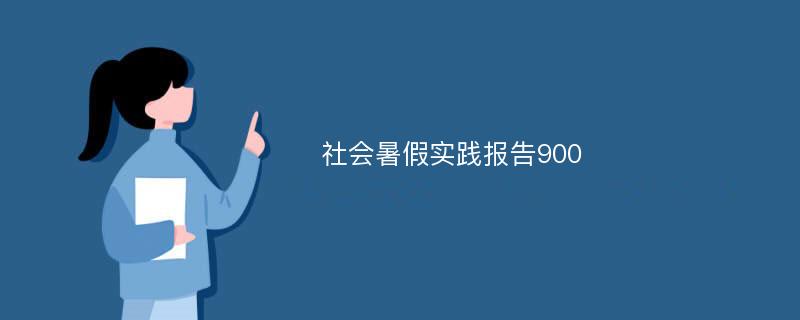 社会暑假实践报告900