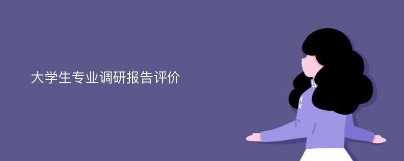 大学生专业调研报告评价