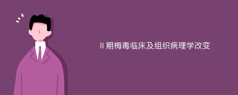 Ⅱ期梅毒临床及组织病理学改变